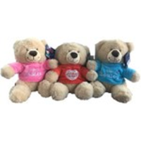 PELUCHES OURS MESSAGE